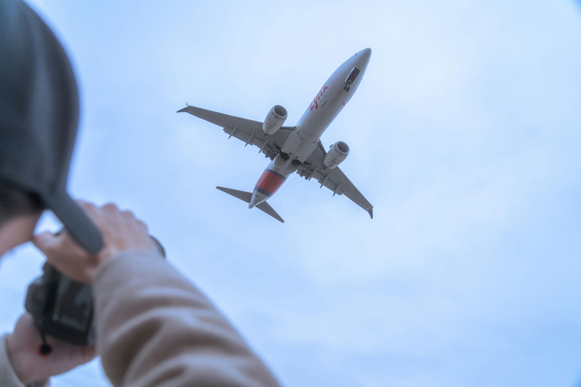 the loyalty effect how airline rewards are steering where we travel